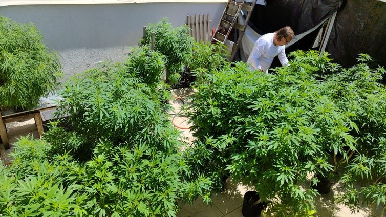 Feira em Fortaleza defende políticas sobre drogas com justiça social
