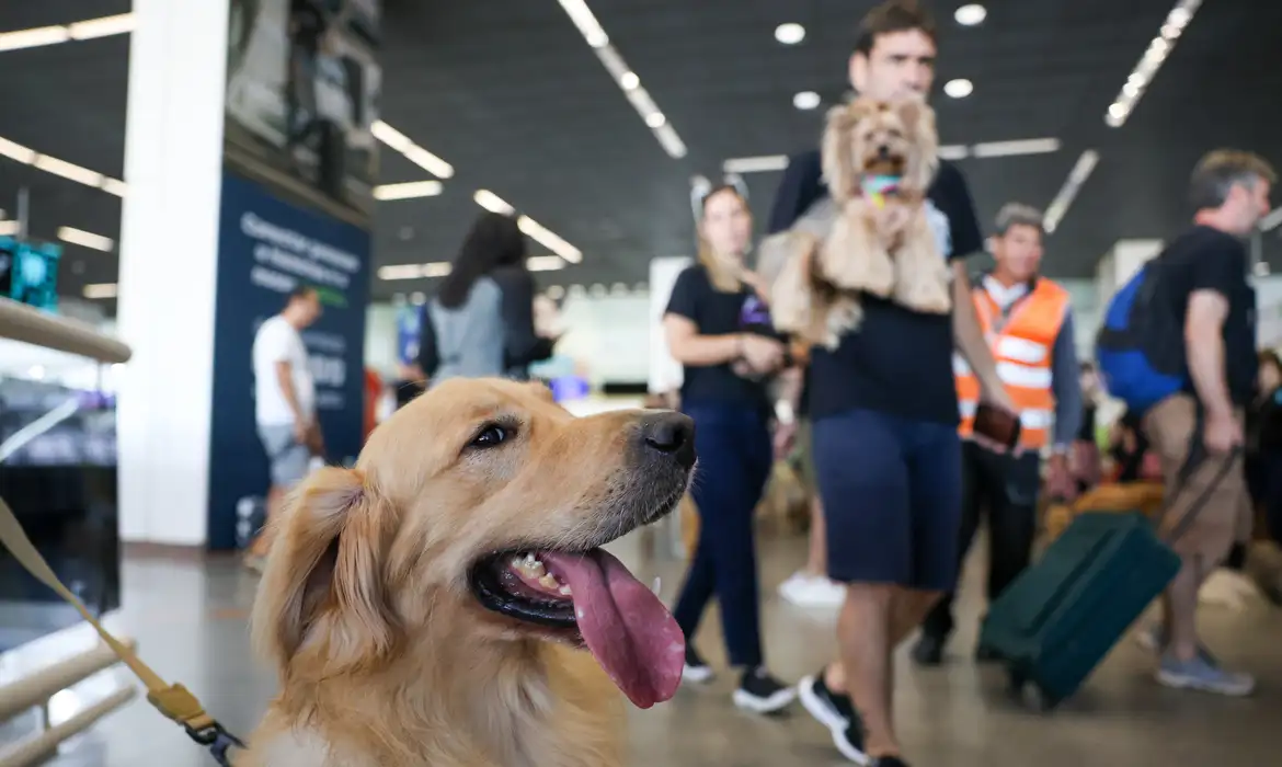 Fabio Rodrigues-Pozzebom/ Agência Brasil Brasília (DF) 28/04/2024 Tutores de pets fazem protesto no Aeroporto Juscelino Kubitschek de Brasília cobrando justiça pela morte do Golden Retriever Joca, durante viagem aérea. Foto: Fabio Rodrigues-Pozzebom/ Agência Brasil
