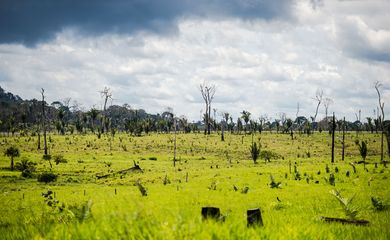 Área degradada no município de Colniza, noroeste de Mato Grosso.  (Marcelo Camargo/Agência Brasil)
