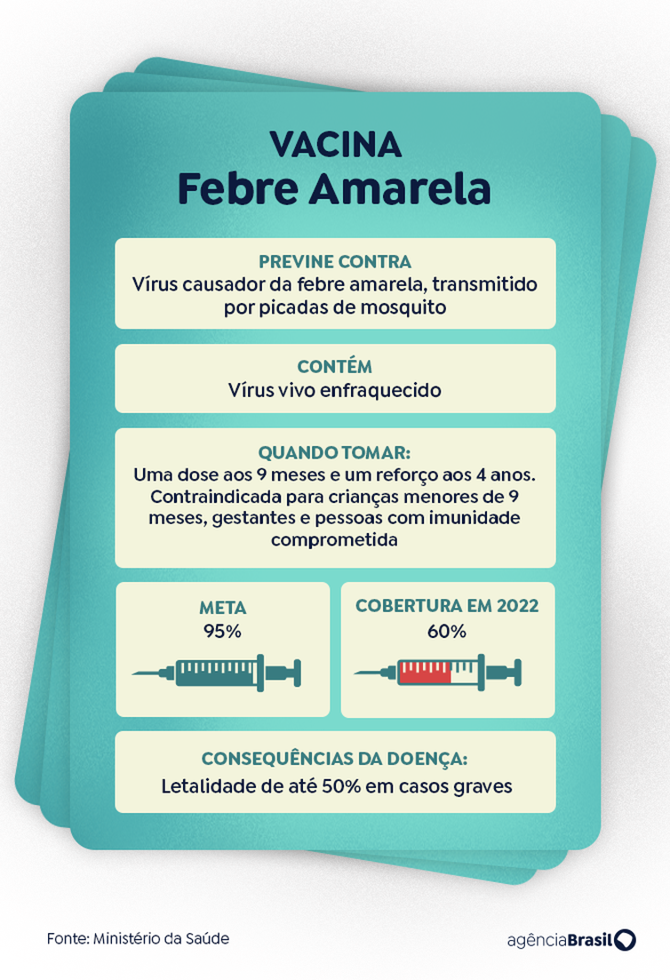 Arte/Agência Brasil arte febre amarela