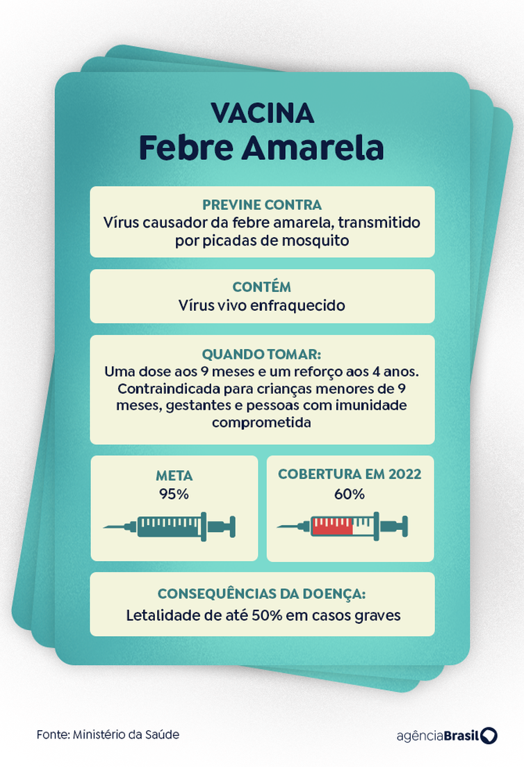 arte febre amarela 