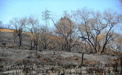Petrópolis - Região de mata queimada próxima à subestação do distrito de Rio da Cidade, atingida pelos incêndios florestais de grandes proporções que se alastram na Região Serrana.