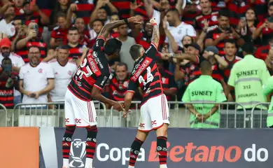 flamengo, bahia, copa do brasil