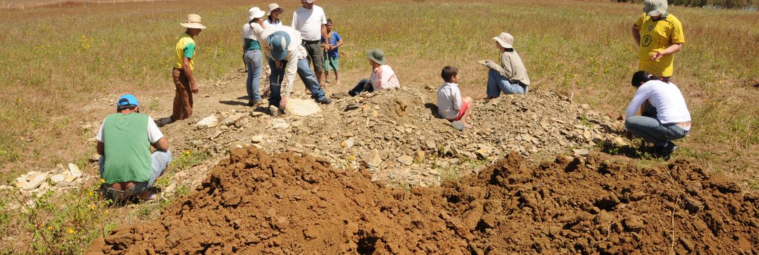 Trabalho de campo realizado em 2011 na localidade Sítio Baixa Grande, Município de Araripe, Ceará.