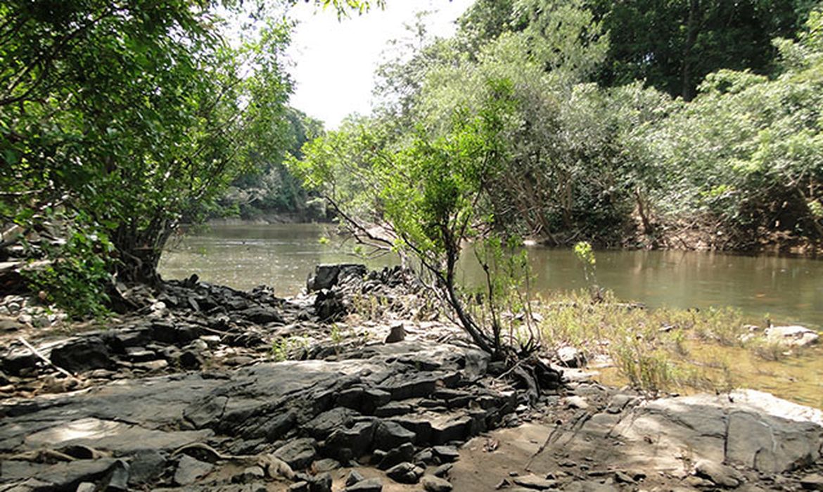 Porto Velho (RO), 10/02/2025 - Flona do Jatuarana. Foto: MMA/Divulgação