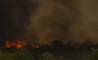 Brasília (DF), 16/09/2024 - Grandes focos de incêndio atingem áreas do Parque Nacional de Brasília. Foto: Marcelo Camargo/Agência Brasil