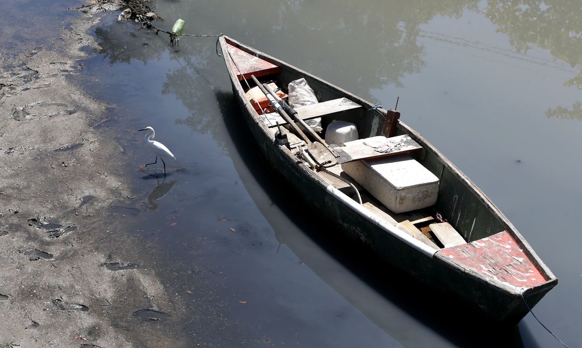 Rio de Janeiro - Mesmo poluída, Baía de Guanabara é fonte de renda para milhares de pescadores (Tânia Rêgo/Agência Brasil)