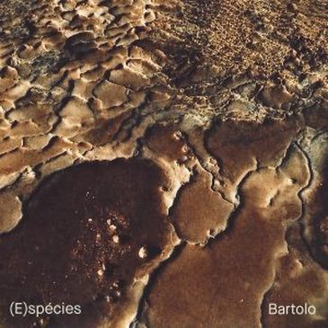 Capa do álbum (E) espécies, do multi-artista Bartolo, um lançamento do Sê-lo!