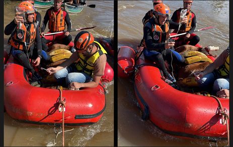 CHUVAS NO RS - Canoas (RS) - Égua Caramelo, que ficou dias ilhada sobre u tehado, é resgatada pelo Corpo de Bombeiros. Foto: Corpo Bombeiros RS