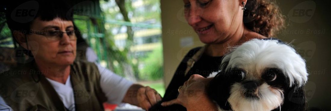 A Secretaria de Saúde do Distrito Federal realiza, neste sábado (22), campanha de vacinação antirrábica para cães e gatos, na área urbana