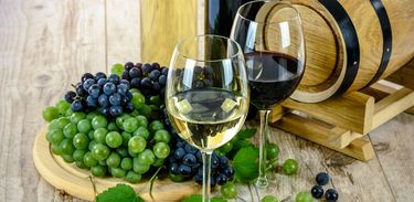Sommelier fala sobre a arte de degustar os diversos tipos vinhos