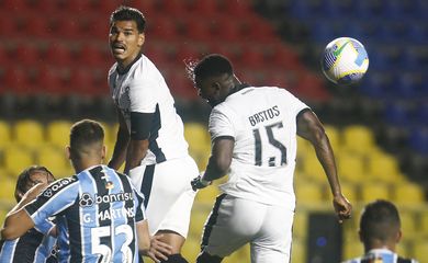Botafogo, Grêmio, Brasileiro