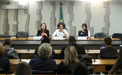 Brasília - A Comissão de Direitos Humanos e Legislação Participativa do Senado faz ciclo de debates sobre as propostas de limitação dos gastos públicos, com efeitos nas políticas educacionais e sociais (Marcelo Camargo/Agência Brasil)