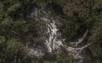 Corumbá (MS), 30/06/2024 - Imagens aéreas mostram áreas devastadas pelo fogo no Pantanal. Foto: Marcelo Camargo/Agência Brasil