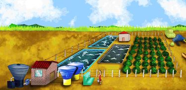 Programa Água Doce, do Ministério do Meio Ambiente 