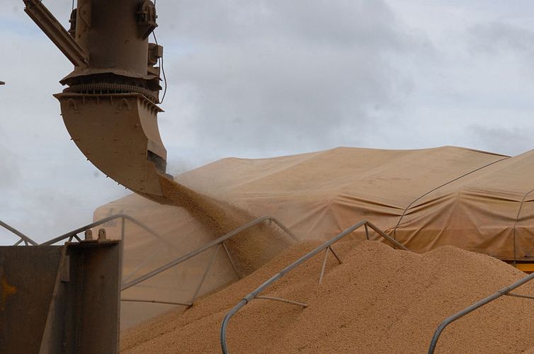 Economista atualiza informações sobre o mercado agropecuário