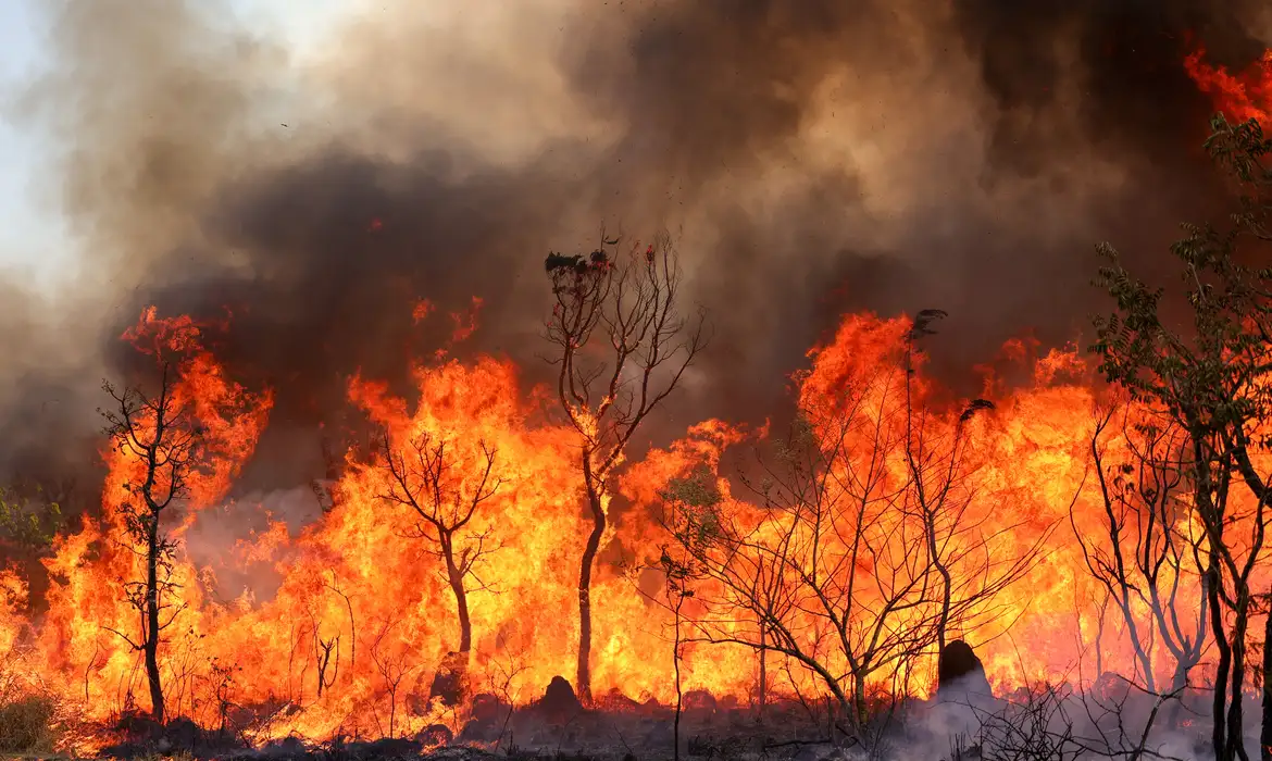 Brasília, DF 15-09-2024 Um Incendio atingiu o Parque Nacional de Brasília. Bombeiros e populares tentavam conter as chamas Foto: Fabio Rodrigues-Pozzebom