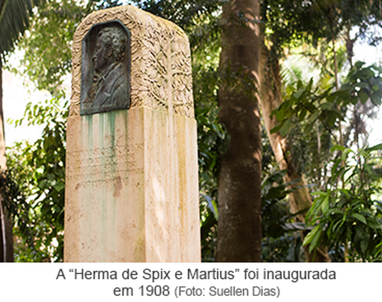 Herma de Spix e Martius