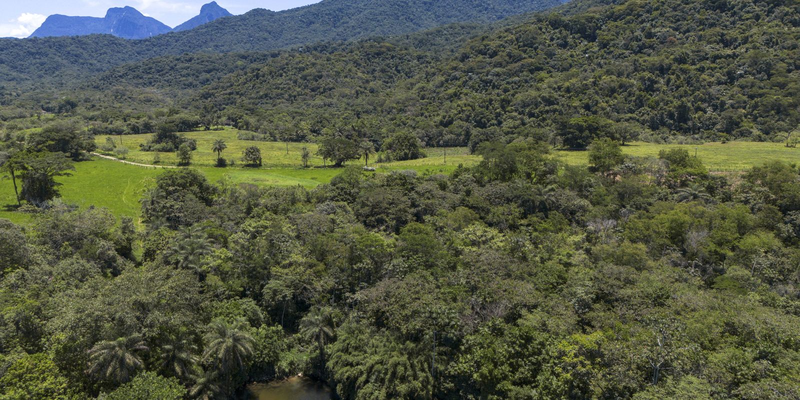 Brasil diminui em 43% área de vegetação nativa fragmentada