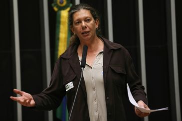 Brasília - Former athlete Ana Moser participates in a formal session of the Chamber of Deputies for quality public education (Fabio Rodrigues Pozzebom/Agência Brasil)