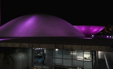 Monumentos brasileiros ganham iluminação especial na cor roxa para celebrar o Purple Day - Dia Mundial da Conscientização da Epilepsia. Na foto, o Congresso Nacional (Valter Campanato/Agência Brasil)