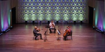 Grupo de câmara da Orquestra Petrobras Sinfônica executa o concerto "O Cello na Música de Câmara"