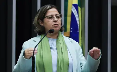 Brasília (DF), 26/02/2025  - Câmara dos Deputados durante sessão solene em homenagem ao Dia Internacional da Mulher e à conquista do voto feminino. ( Ministra das mulheres, Cida Gonçalves) Foto: Lula Marques/Agência Brasil