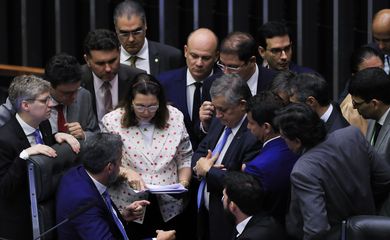 Brasília (DF) 19-12-2024 Durante sessão a Câmara aprova em 1º turno texto-base da PEC do pacote de ajuste fiscal. Foto Lula Marques/ Agência Brasil
