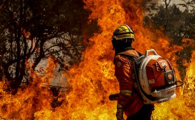 Brasília (DF), 24/08/2024 - Brigadistas do Instituto Brasília Ambiental e Bombeiros do Distrito Federal combatem incêndio em área de cerrado próxima ao aeroporto de Brasília. Foto: Marcelo Camargo/Agência Brasil