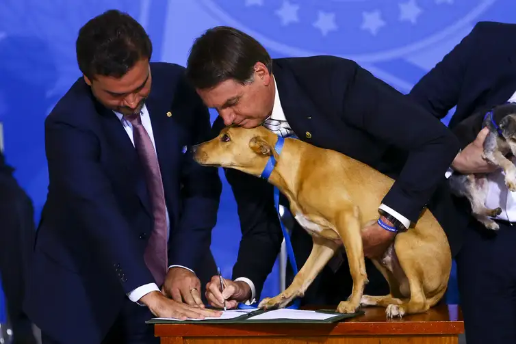 O presidente Jair Bolsonaro sanciona o projeto de lei (PL 1.095/2019) que aumenta pena para crimes de maus-tratos a animais.