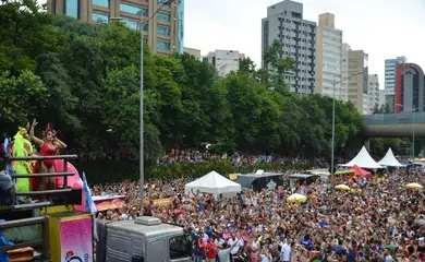 São Paulo - Milhares de foliões acompanham o bloco Chá Rouge na Avenida 23 de Maio, que está sendo utilizada a primeira vez para a passagem de blocos no carnaval (Rovena Rosa/Agência Brasil)