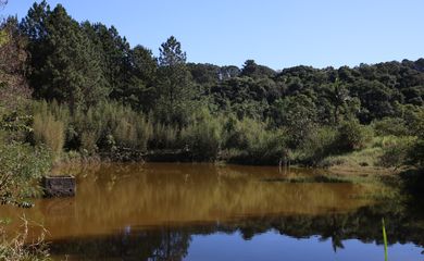 Lago do Parque Natural Municipal Varginha, no bairro Chácara Santo Amaro.