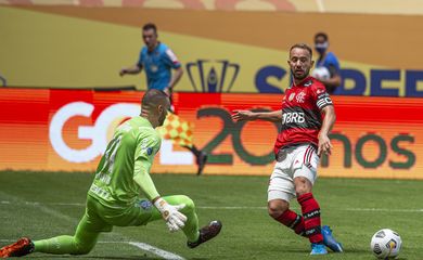 Flamengo, Palmeiras, supercopa do brasil
