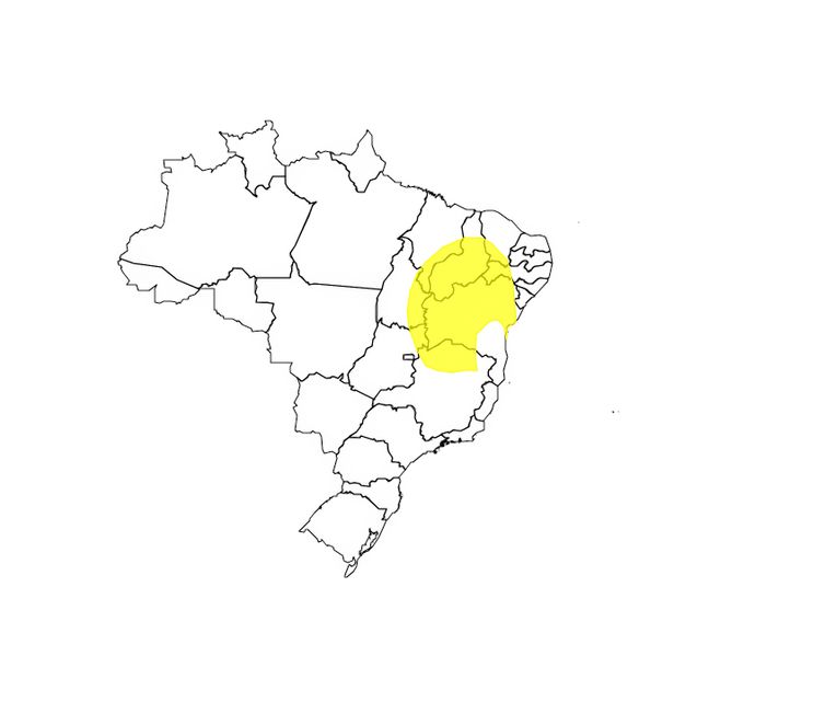 Brasília (DF) 22/11/2024 - Inmet prevê chuva volumosa em todo o Nordeste até sexta-feira<br /> Mapa ALERT-AS/Divulgação
