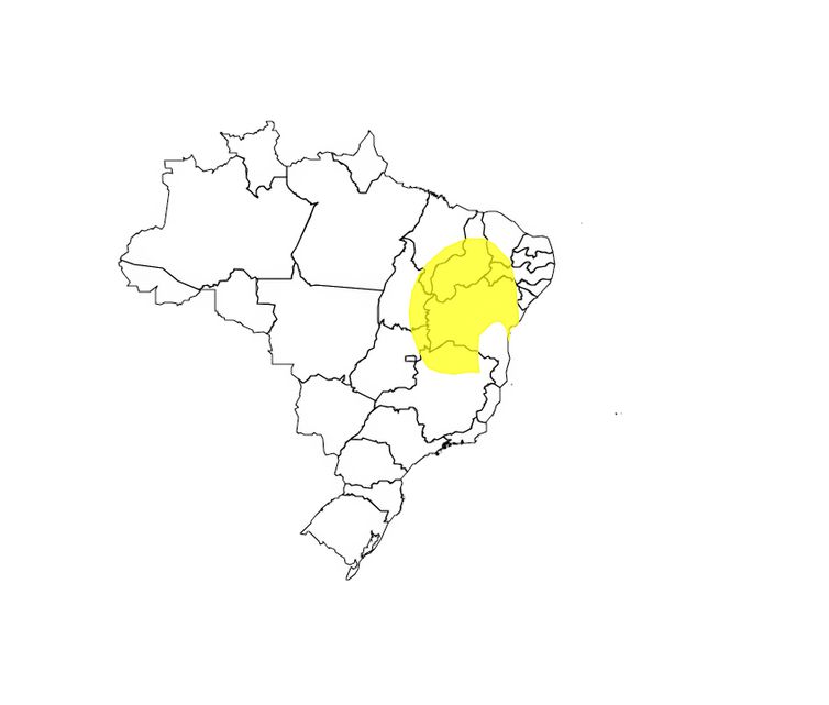 Brasília (DF) 22/11/2024 - Inmet prevê chuva volumosa em todo o Nordeste até sexta-feira Mapa ALERT-AS/Divulgação