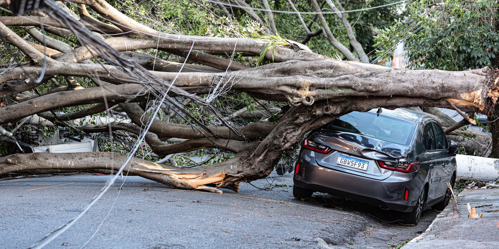 Ciclone deixa 1,5 milhão de imóveis sem energia na Grande São Paulo após ventos de 98 km/h