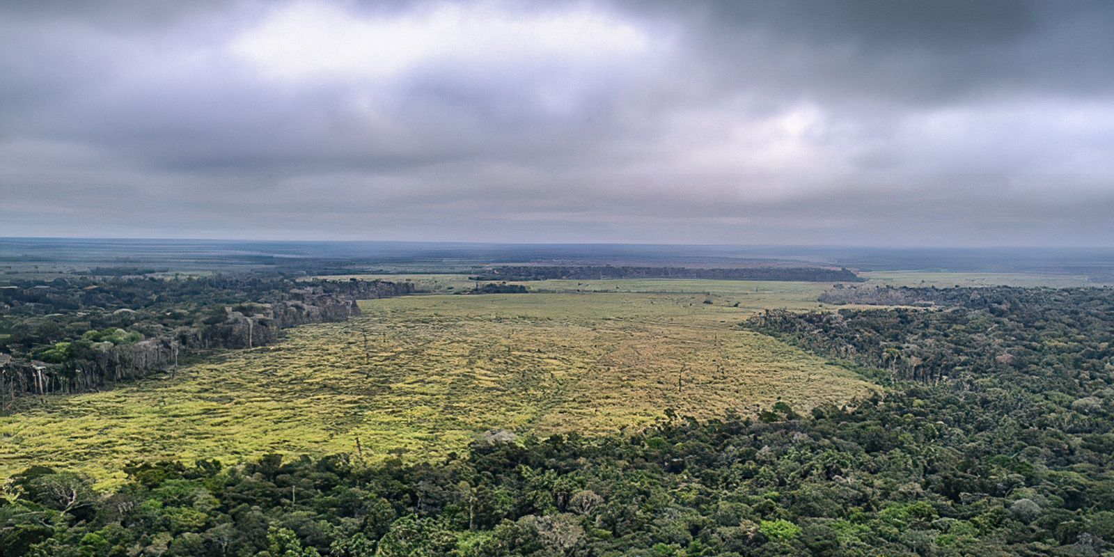 Plataforma ajuda nas previsões de risco de desmatamento na Amazônia