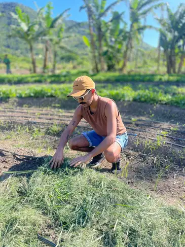 Brasília (DF), 22/11/2025 - Floresta em Pé, uma saída ainda possível para o futuro sustentável do planeta Terra. Foto: Yago Fagundes/Divulgação