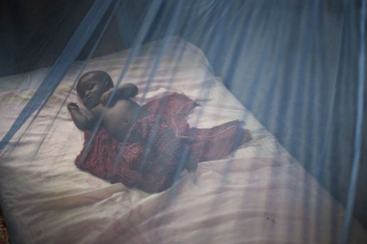 Segundo a OMS, entre 2000 e 2015 o número de mortes causadas pela malária caiu 62% e o número de casos teve uma redução de 41%