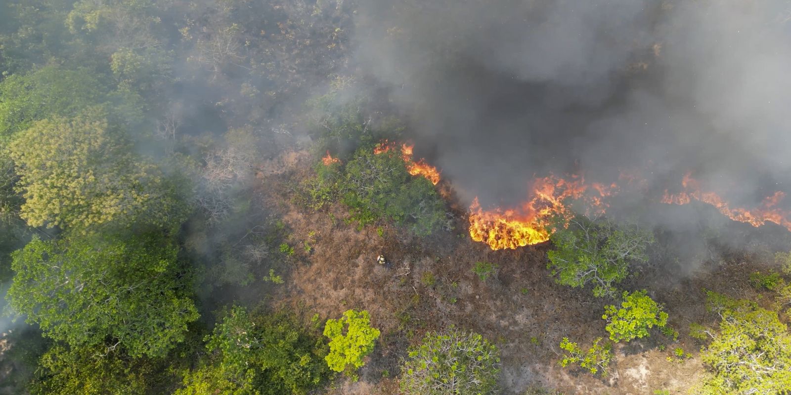 Arco da Restauração no AM vai receber projetos de reparação ecológica