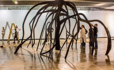 Centenário de Frans Krajcberg é celebrado com exposição no MuBE