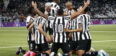 Time do Botafogo