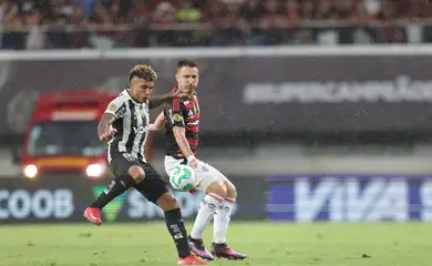 flamengo, botafogo, supercopa do brasil