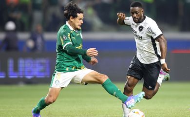 Botafogo, Palmeiras, Libertadores