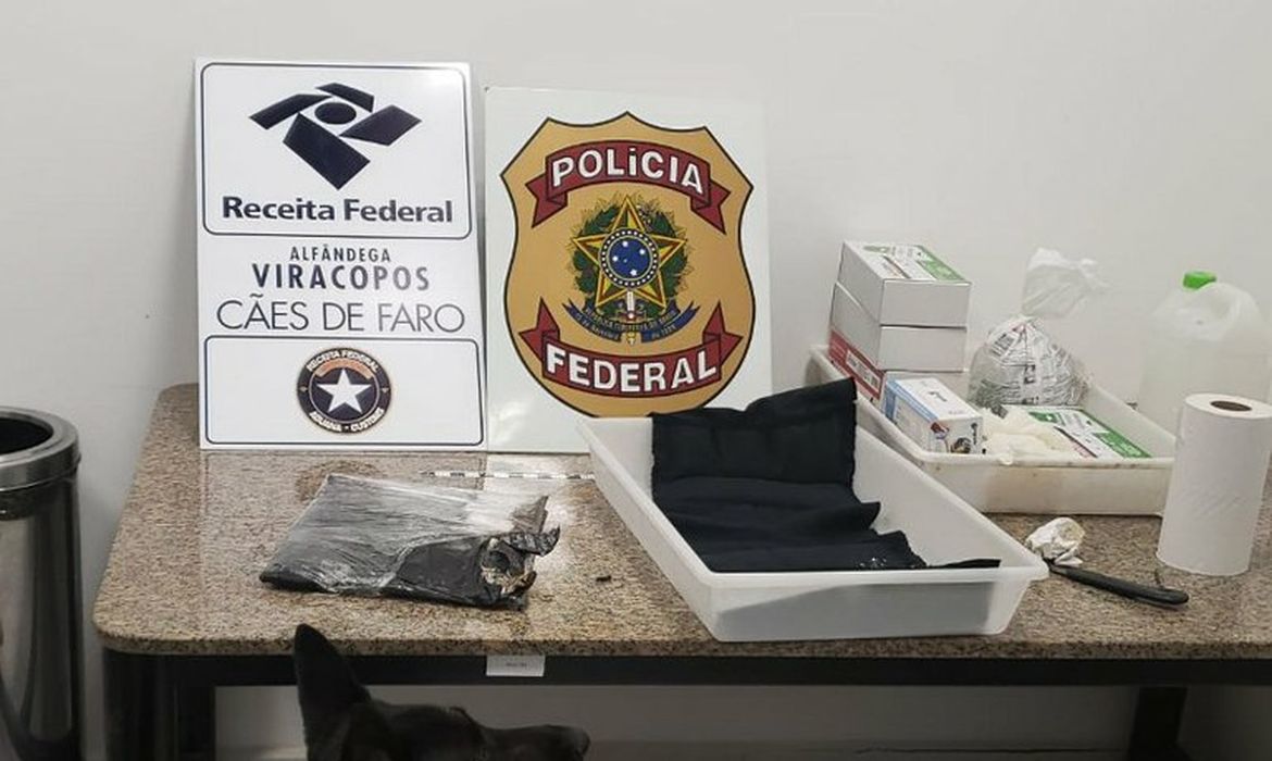 Receita Federal apreende 3,1 kg de cocaína em Viracopos
