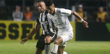Botafogo e Santos 