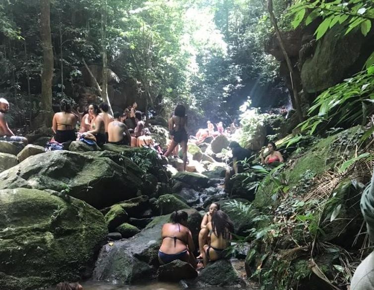 Divulgação do ICMBio Parque Nacional da Tijuca