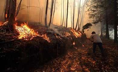Incêndio na localidade de Préstimo (Águeda), em Portugal
