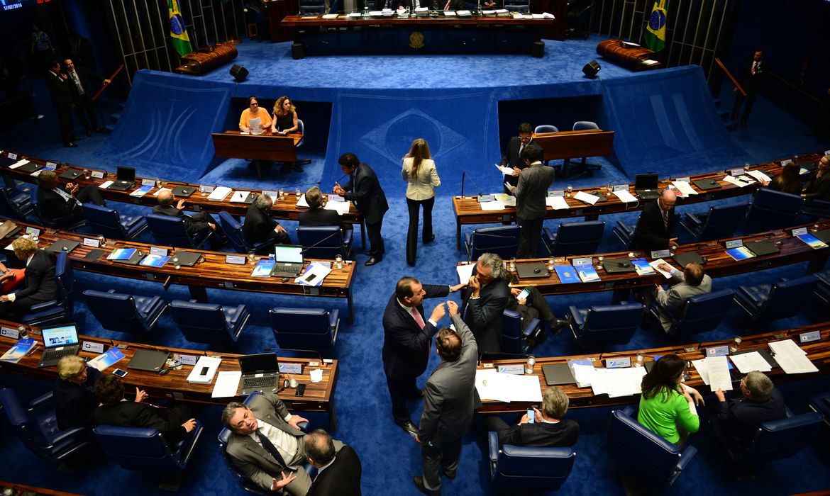 Brasília - Sessão no Plenário do Senado, destinada à discussão e votação de emendas (Fabio Rodrigues Pozzebom/Agência Brasil)