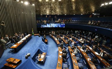 Brasília - Plenário do Senado aprovou a PEC 14/2016, que cria as polícias penitenciárias federais, estaduais e distrital (Fabio Rodrigues Pozzebom/Agência Brasil)
